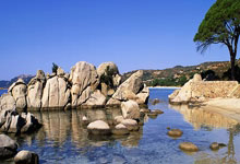 德罗巴官方宣布重返赛场新规，切尔西引发争议！