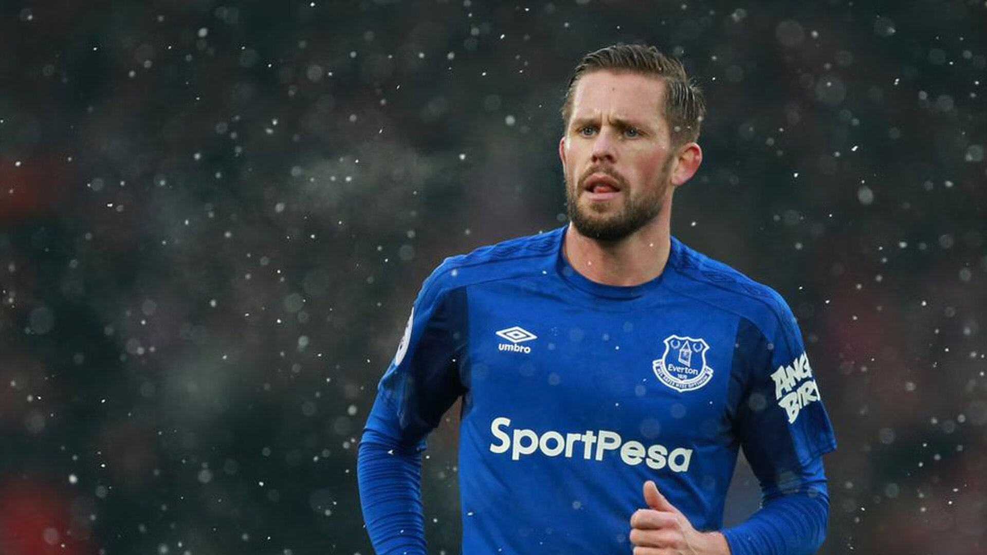 皮兰德娄战争解析